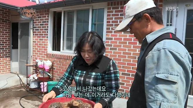 한국인의 밥상 - 왕밤송이게 된장찌개 , 왕밤송이게 찜(스압) 한국인의 밥상 - 왕밤송이게 된장찌개 , 왕밤송이게 찜.jpg