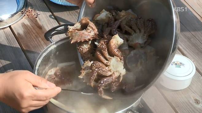 한국인의 밥상 - 왕밤송이게 된장찌개 , 왕밤송이게 찜(스압) 한국인의 밥상 - 왕밤송이게 된장찌개 , 왕밤송이게 찜.jpg