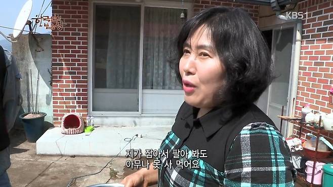 한국인의 밥상 - 왕밤송이게 된장찌개 , 왕밤송이게 찜(스압) 한국인의 밥상 - 왕밤송이게 된장찌개 , 왕밤송이게 찜.jpg