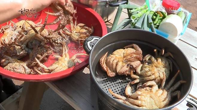 한국인의 밥상 - 왕밤송이게 된장찌개 , 왕밤송이게 찜(스압) 한국인의 밥상 - 왕밤송이게 된장찌개 , 왕밤송이게 찜.jpg