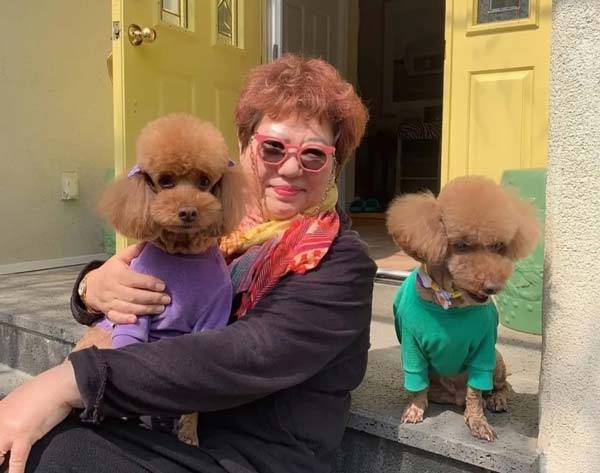 가수 양희은(72)의 반려견 미미가 무지개 다리를 건넜다는 안타까운 소식이 전해졌다./사진=양희은 인스타그램