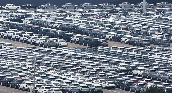 13일 경기 평택시 포승읍 평택항 자동차전용부두에 수출용 차량들이 세워져 있다.   도널드 트럼프 미국 대통령이 지난 12일(현지시간) 투자 촉진을 위해 현재 25%인 자동차 관세를 머지않은 시점에 추가로 인상할 수 있다고 밝혀 국내 자동차 산업이 타격을 받을 것으로 예상된다. 뉴스1