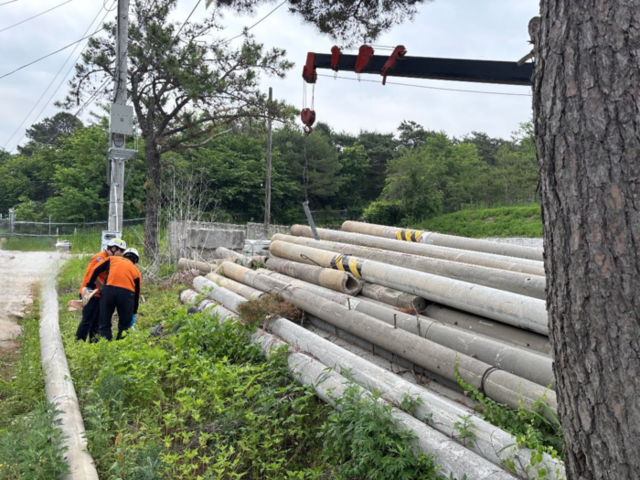 ▲ 13일 오전 8시 11분쯤 철원군 김화읍에서 폐 전신주를 옮기는 작업을 하던 60대 작업자가 팔에 부상을 입어 병원에서 치료를 받았다. 강원소방본부 제공