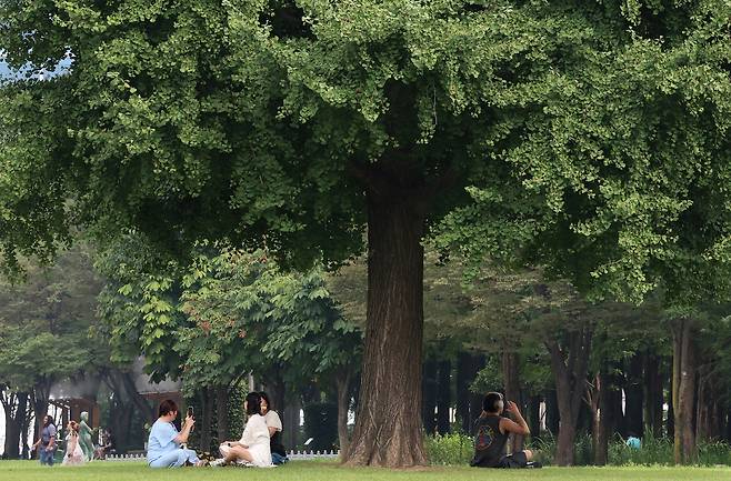 서울 성동구 서울숲. [뉴시스]