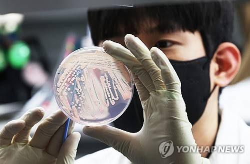 식중독 조심하세요. [기사 내용과 직접적인 관련 없음] [연합뉴스 제공]