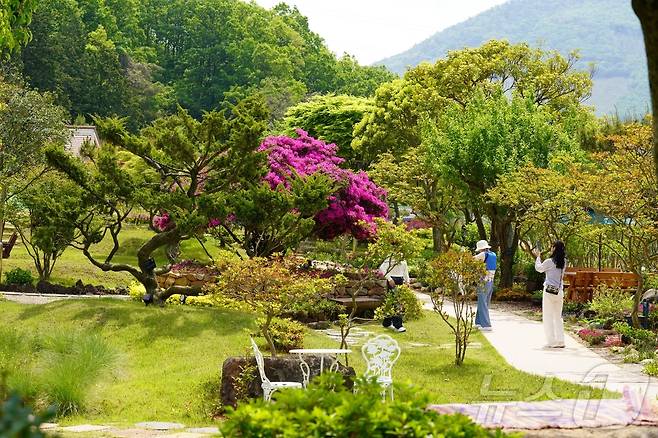 2024 전남도 예쁜정원 콘테스트에서 대상을 차지한 비밀의 정원 (해남군 제공, 재판매 및 DB금지) /뉴스1