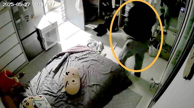 지난달 27일 안동의 한 아파트에 침입한 괴한이 20대 여성의 속옷을 뒤지는 모습. 괴한은 1시간 동안 3차례나 같은 행위를 반복했다. /피해자 A씨 제공.