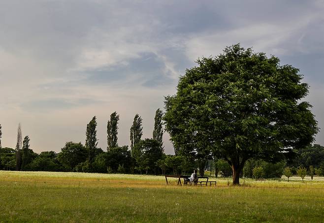 늦은 오후에 흡사 천국 같은 풍경을 자랑하는 강천섬은, '여주 관광 순환버스'의 '꽃섬투어' 코스다. 공휴일과 주말에만 운행하는 꽃섬투어는 여주 남한강의 섬으로 안내한다. / 이경호 영상미디어 기자