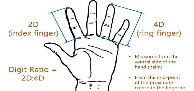 영국 스완지대학교 제공.