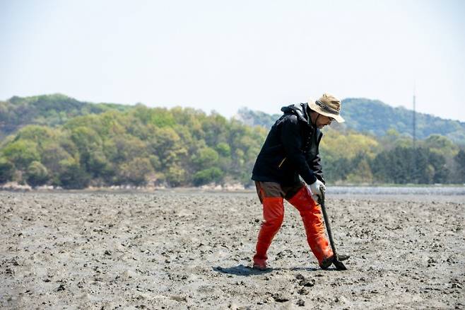 갯벌 현장 조사 전문가인 구본주 KIOST 책임연구원이 제부도 인근 갯벌에서 현장 생태조사 시범을 보이고 있다. 과학동아 제공