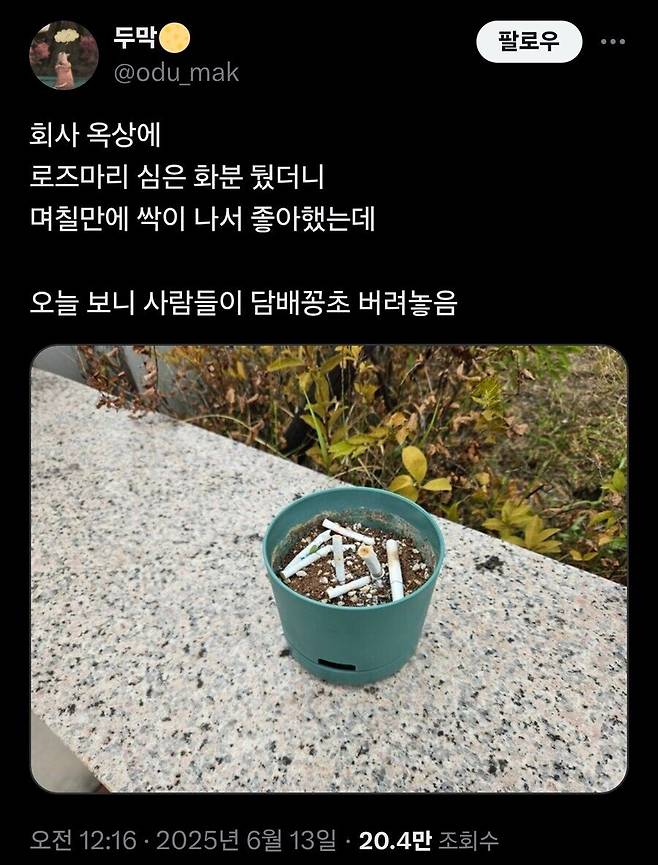 a.jpg 회사 옥상에 화분을 놔두면 생기면 일