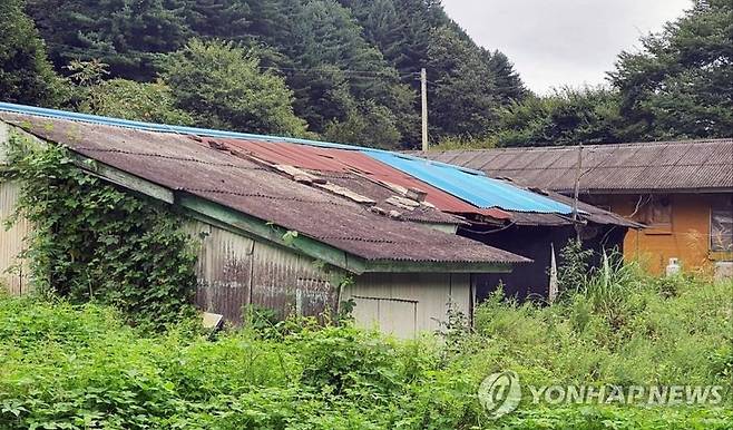 (출처=연합뉴스)