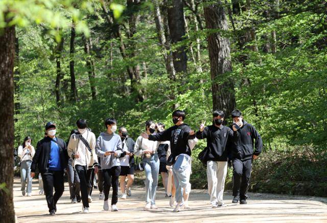 강원 평창군 오대산 월정사 전나무 숲길 모습. 연합뉴스