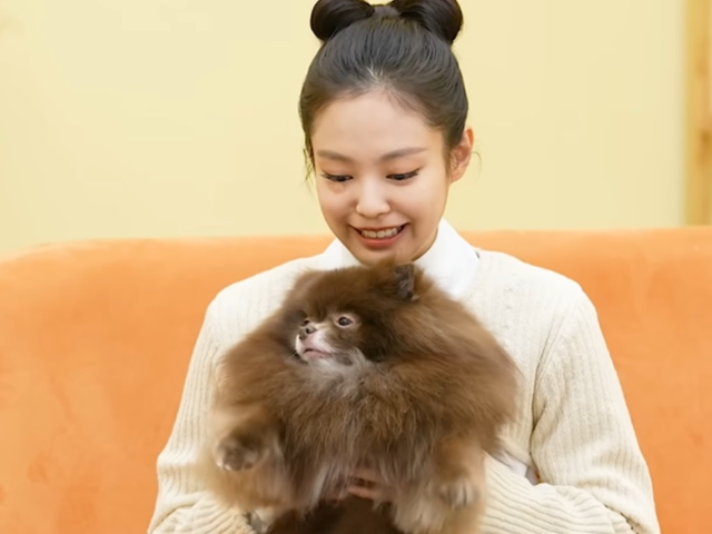 걸그룹 '블랙핑크'의 멤버 제니가 반려견 '쿠마'와 함께 유튜브 채널 '강형욱의 보듬TV'에 출연한 모습. 강형욱의 보듬TV 유튜브 캡처