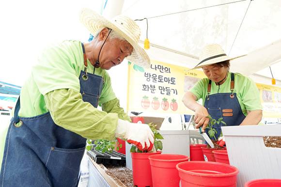 지난해 열린 광주시 퇴촌 토마토 거리 축제 나만의 방울토마토 화분 만들기 부스. [사진=광주시]