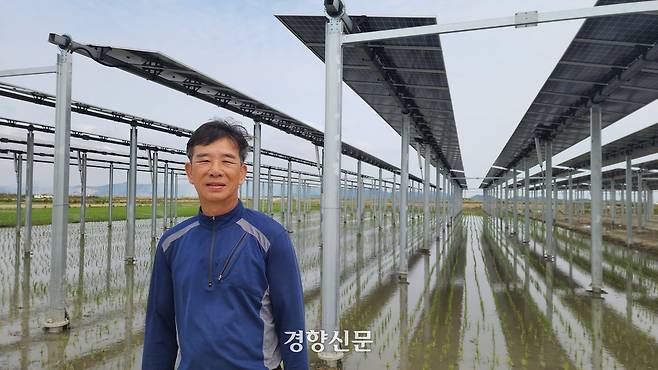 강종오 월평햇빛발전협동조합 이사장(66)이 지난 6월 10일 영농형 태양광이 설치된 논 앞에서 주간경향과 인터뷰를 하고 있다.  이재덕 기자