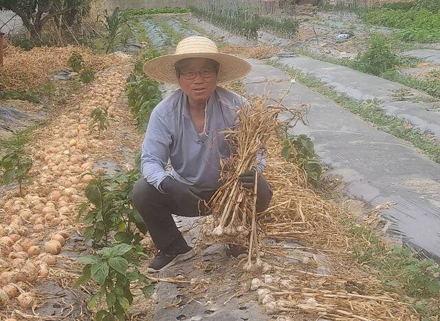 경남 밀양시 자택 텃밭에서 직접 기른 마늘을 들고 있는 박무열 목사. 미전교회 제공