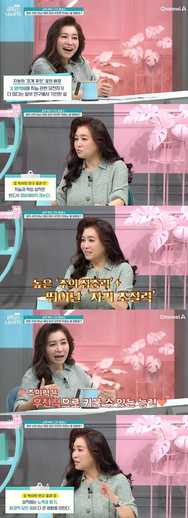 채널A 예능 ‘요즘 육아-금쪽같은 내 새끼’