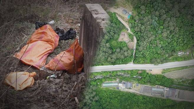 그것이 알고싶다