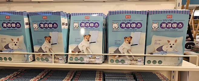 지난달 10일 서울 성수동 펫페어에 마련된 BYC 부스. 박윤희 기자