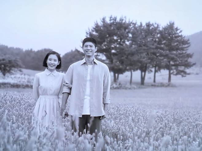 ‘폭싹 속았수다’ 최종화 오라동 청보리밭 장면. 영상 캡처