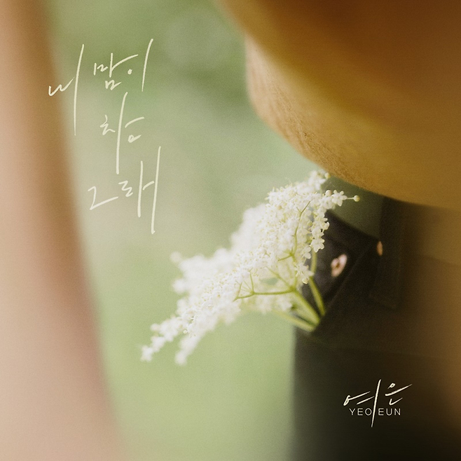 요구르트 스튜디오