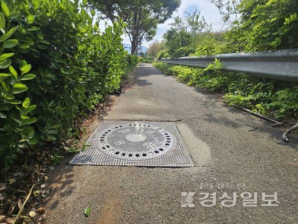 울산 북구는 잦은 파손으로 보행자 안전에 위협이 될 수 있는 조화 맨홀뚜껑을 주철 맨홀뚜껑으로 교체해 안전사고 발생에 대응하고 있다고 15일 밝혔다. 사진은 교체된 맨홀뚜껑 모습. 울산 북구청 제공