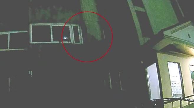 스토킹 해오던 여성의 아파트 배관을 타고 침입해 흉기로 살해한 남성. (사진=연합뉴스)