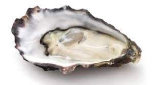 089ff507b382698023ef8196329c701b90fc3359e3a562d5e0254a20d95cee90452e5664381826560afac753a7af9bc03564d8