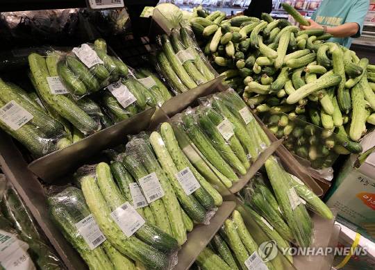 대형마트에 진열된 오이. [연합뉴스]