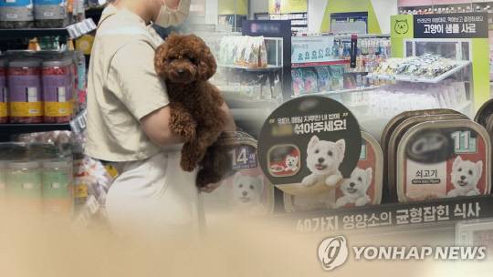 [연합뉴스 자료사진]