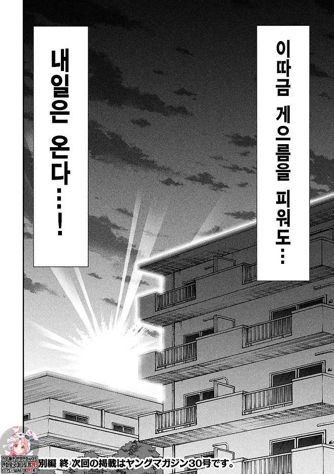 30대 남자의 주말 만화