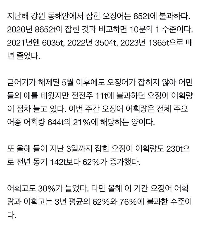 IMG_7071.jpeg “오징어회 실컷 먹어볼까”…사라졌던 동해안 오징어 돌아왔다