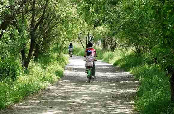 창녕 '우포늪' 전경. [사진=경남 창녕군]