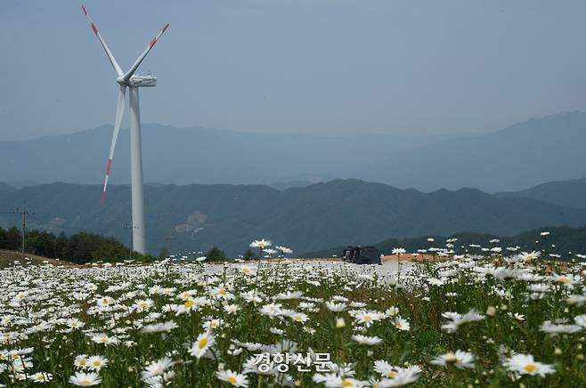 경남 거창 감악산 구철초 단지. 거창군 제공