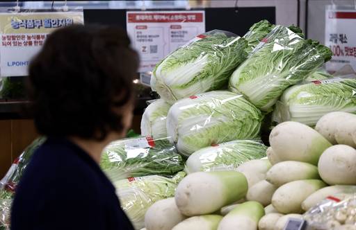 서울 시내 한 대형마트에 배추가 진열돼 있다. 뉴시스