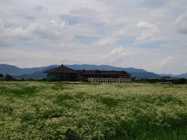 신라 황룡사지에서 보이는 황룡사역사문화관 전경.