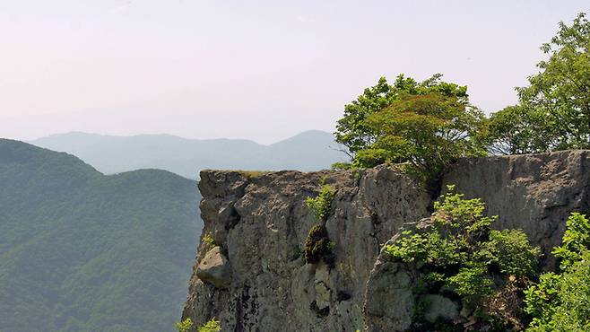 사진출처 : 경주문화관광 홈페이지