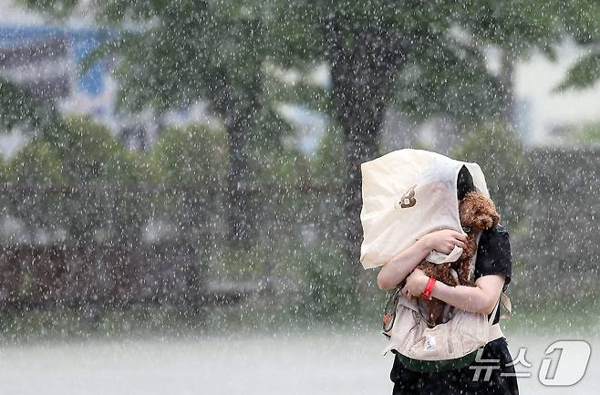 <자료사진> 2025.5.16/뉴스1 이동해 기자