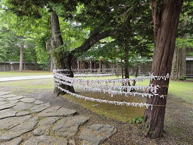 viewimage.php?id=23b2db27ebc637&no=24b0d769e1d32ca73de883fa1bd62531caf022a001a6328b8fcf4dbd347c71c7aaaad0c21bbd7a347ba6d1f5940dce9691776eb4fd2b7371a14fa5935d2051a340f7