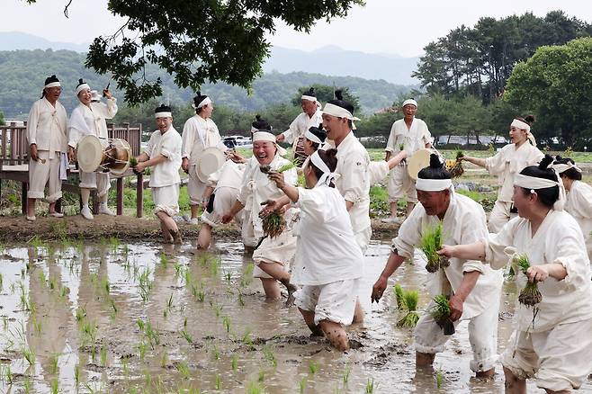 장뜰두레농요보존회 회원들이 장뜰두레농요 중 모심기 시연을 하며 덩실덩실 춤을 추고 있다. 김혜윤 기자 unique@hani.co.kr