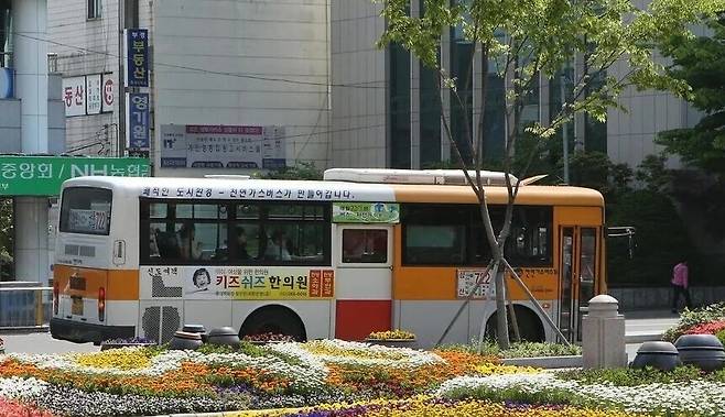 울산시내버스. 울산시 제공