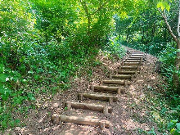 대전시 기념물 ‘사정성’ 일대의 산책로 정비 완료 [사진=대전시]