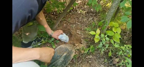 2023년 9월 서울경찰청 광역수사단 마약범죄수사대에 따르면, 국내에 80억원어치 마약을 유통하려다 검거된 마약 유통 조직은 기존 던지기 수법으로 마약 도난 사고가 발생하자 공원 인근 야산에 마약을 묻는 방식으로 마약을 공급했다. 경찰이 땅묻기한 마약을 파내는 장면. 사진 서울경찰청 마약범죄수사대