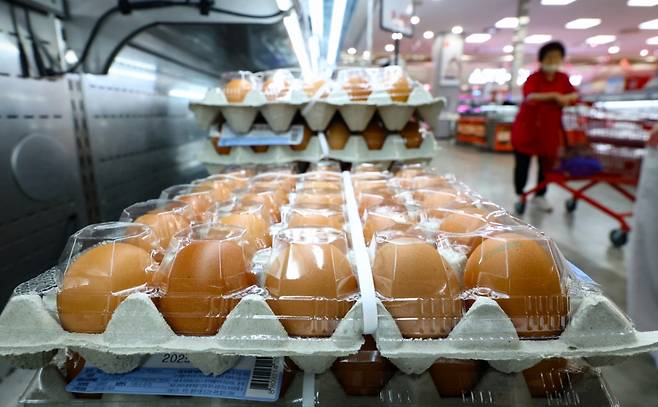 서울 시내 한 대형마트 계란 매대에 소비자들이 계란을 고르고 있다./사진제공=뉴시스