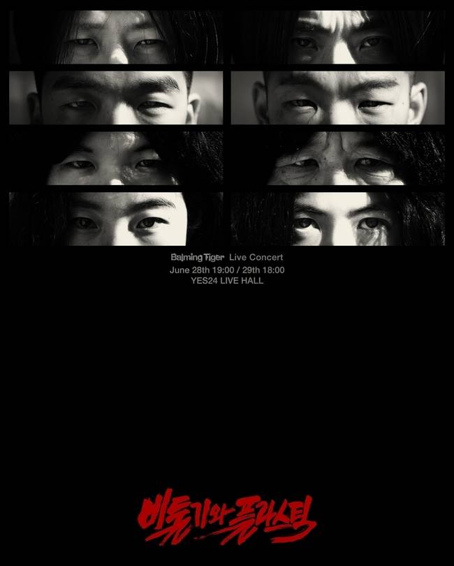 Balming Tiger, CAM 제공