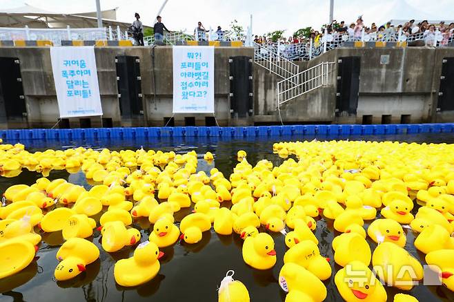 [김포=뉴시스] 황준선 기자 = 15일 경기 김포시 마리나베이에서 열린 아라마린페스티벌에서 포리레이스 경기가 펼쳐지고 있다. 2025.06.15. hwang@newsis.com