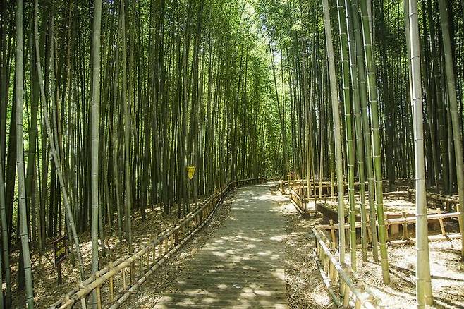 [창녕=뉴시스] 남지개비리 전경. (사진= 창녕군 제공) 2025.06.14. photo@newsis.com *재판매 및 DB 금지