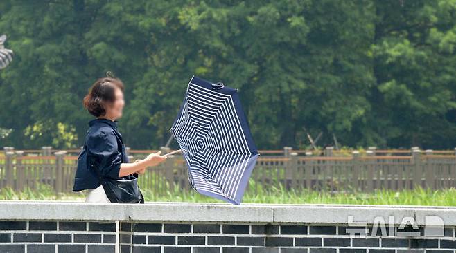 [전주=뉴시스] 김얼 기자 = 연이은 무더위가 이어지고 있는 16일 전북 전주시 전주덕진공원을 찾은 한 시민이 바람에 뒤집어진 양산을 바라보고 있다. 2025.06.16. pmkeul@newsis.com
