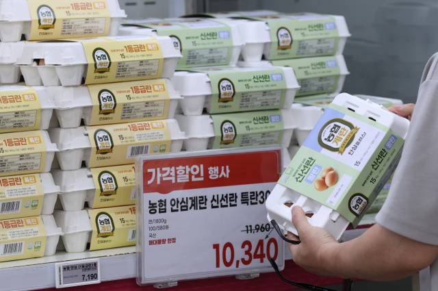 15일 서울의 한 대형마트에 진열된 달걀의 모습. 연합뉴스